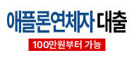 무직대출